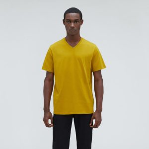 The Organic Cotton V-Neck Tee | Golden Palm